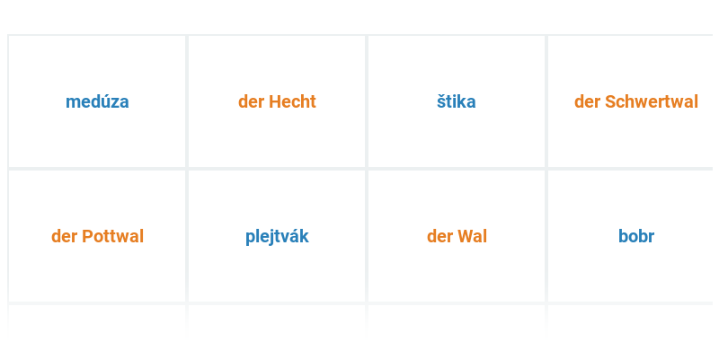 Ryby a vodní živočichové
