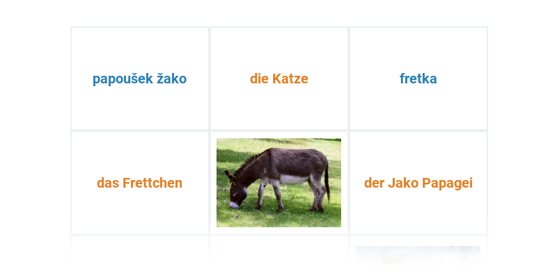 Domácí a farmářská zvířata