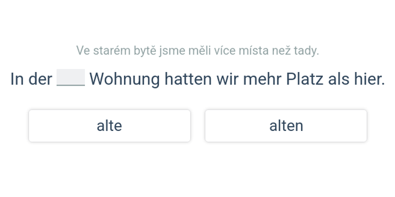 Skloňování příd. jm. po čl. urč.