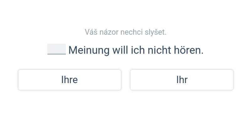 Přivlastňovací zájmena: mix