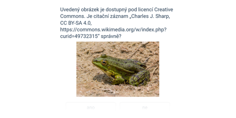 Autorství a licence