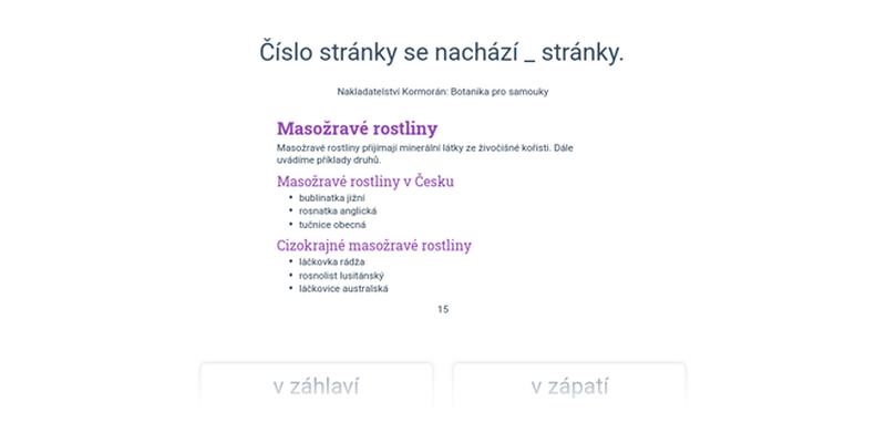 Textový procesor