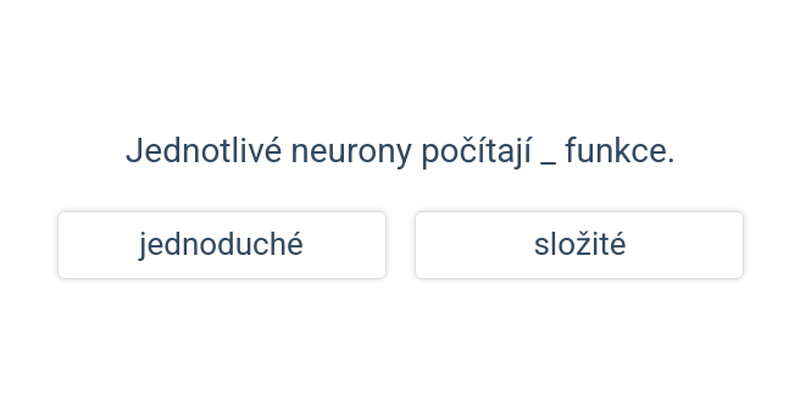 Neuronové sítě