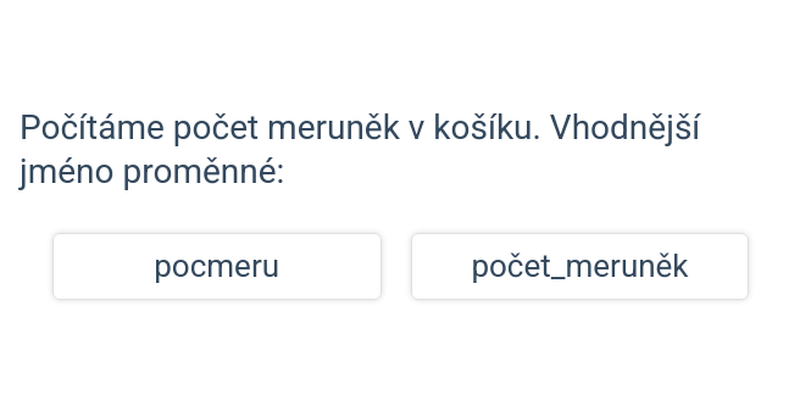 Pojmenování proměnných