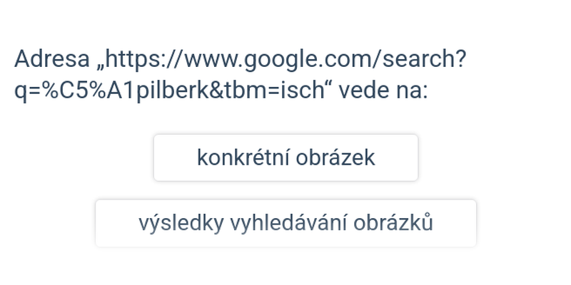 Vyhledávání na internetu